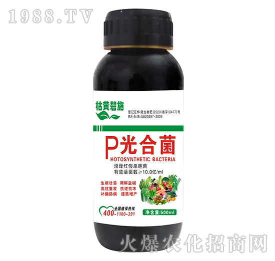 P��Ͼ�-���S��ʩ-����