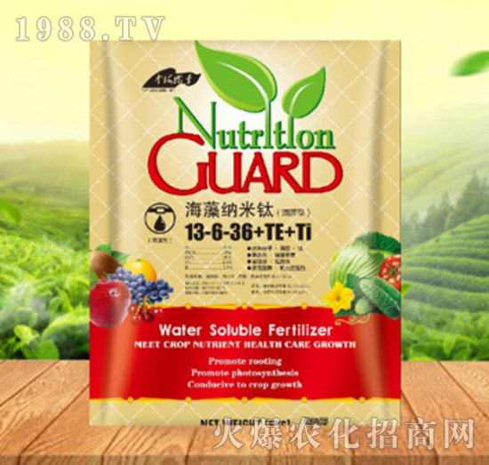 ����{����13-6-36+TE+Ti������-���ԁ��(l��)