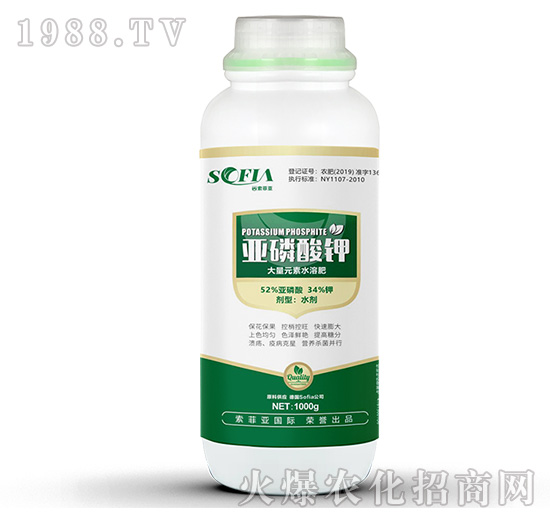 �������-���Ɓ�