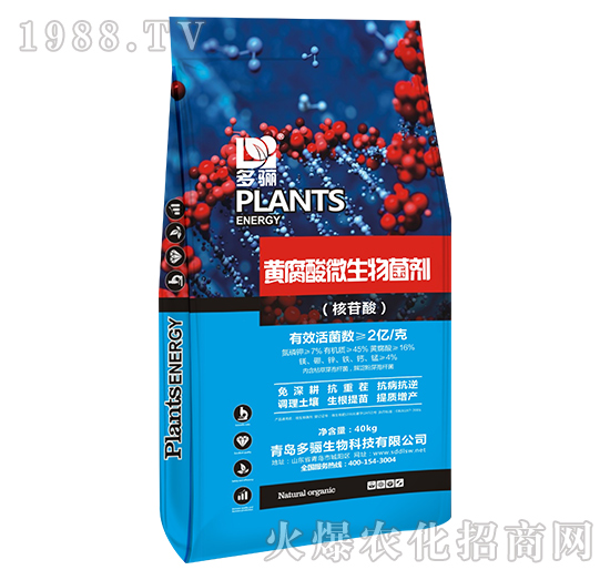 �S����΢�������-���P����