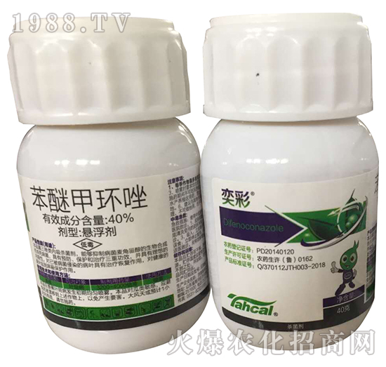 40%���Ѽ׭h(hu��n)��40�ˣ�-�Ȳ�-̩�̻���