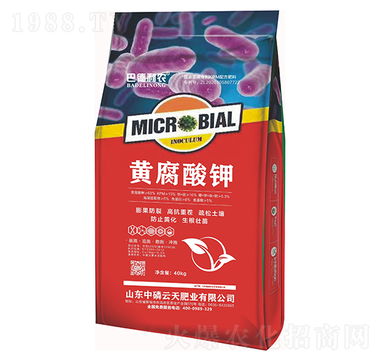 �S�����-�͵����r-��������