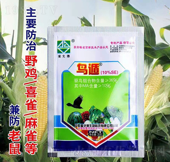 10%�B(ni��o)��-��(��i)�������