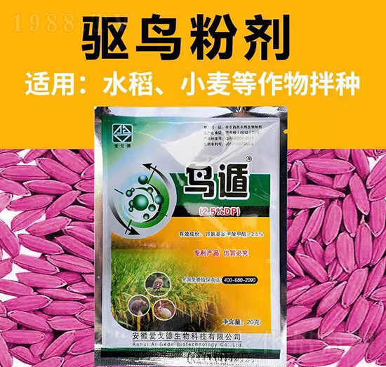 2.5%�B��-�۸������