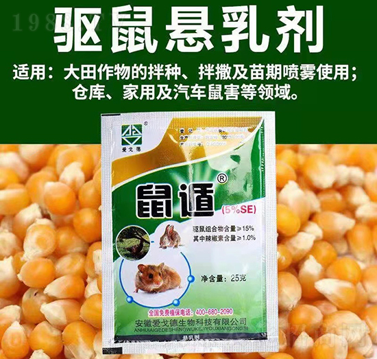 ���Ҹ���-���-�۸������