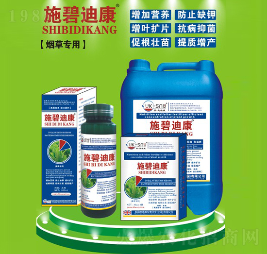 ���݌��÷�-ʩ�̵Ͽ�-ʩ�Z��