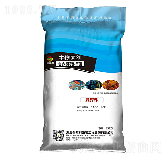 ����ѿ�ߗU��-�������-�᠖��