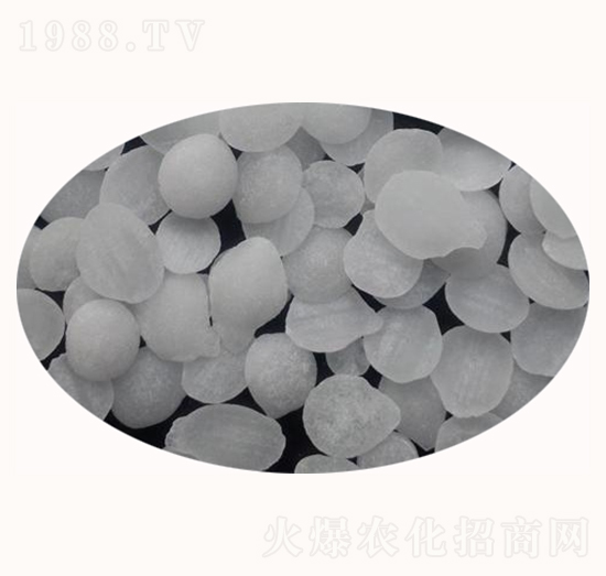 ����Ƭ���}�V-����ʘI(y��)