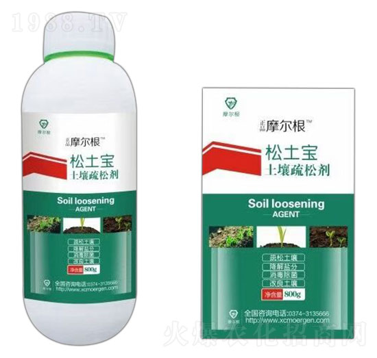 �������Ʉ�-������-Ħ����