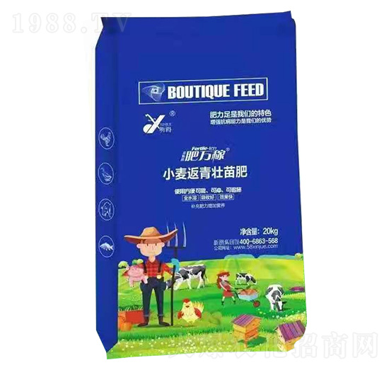 С�����������-���f��-꿾�