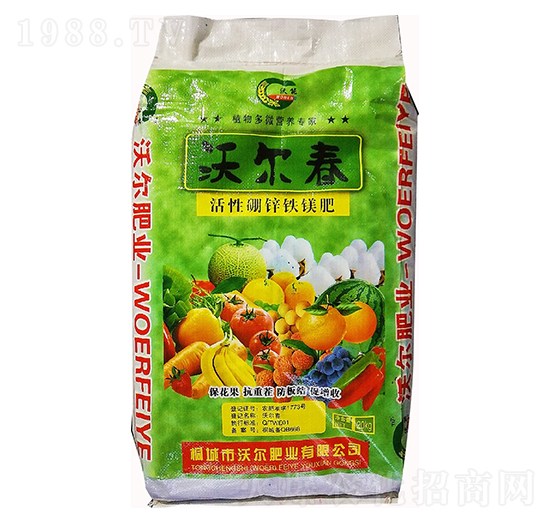 �������\�F�V��-�֠��ʘI(y��)