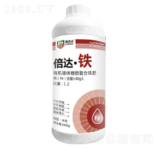 1000g���_(d��)���F-���_(d��)