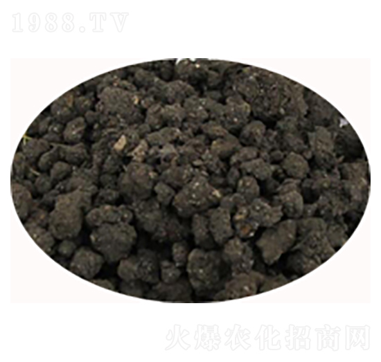 ���u�S�r��-���S����