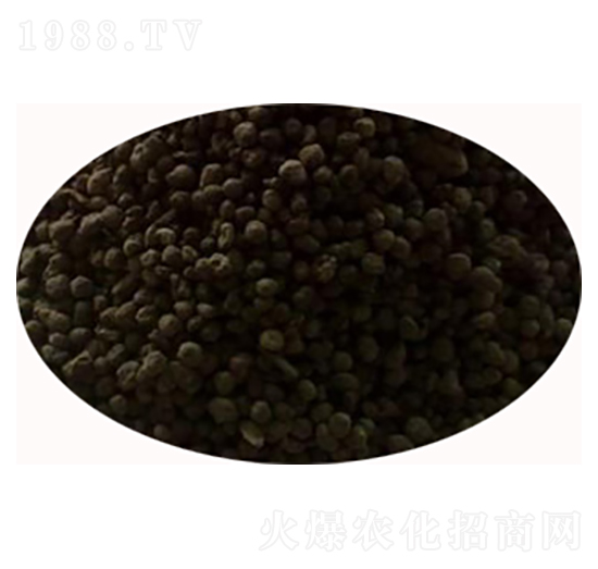 �w���u�S-���S����