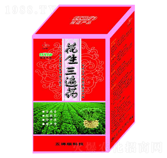 ��������ˎ-����