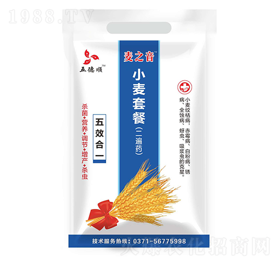 С���ײͣ�����ˎ��-��֮��-����