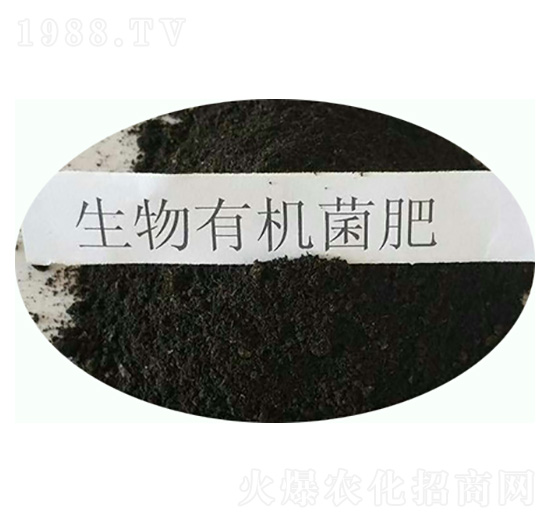 �����ЙC(j��)����-���|�ʘI(y��)