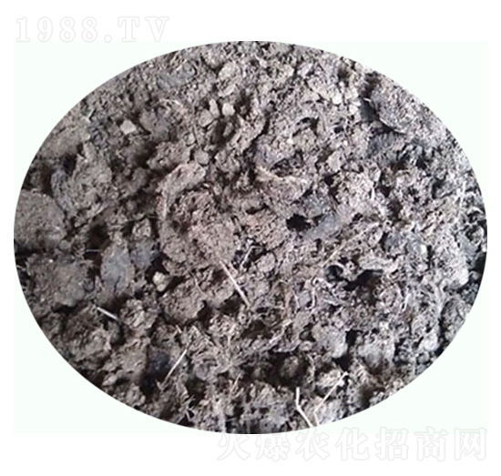 ��Ȼ�����u�S-���|�ʘI(y��)