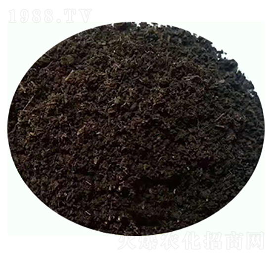 �l(f��)�ͼ���S�ЙC����-���|�ʘI(y��)