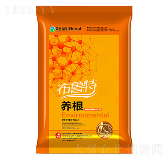 �B(y��ng)������-������-�ǃ|�r�I(y��)