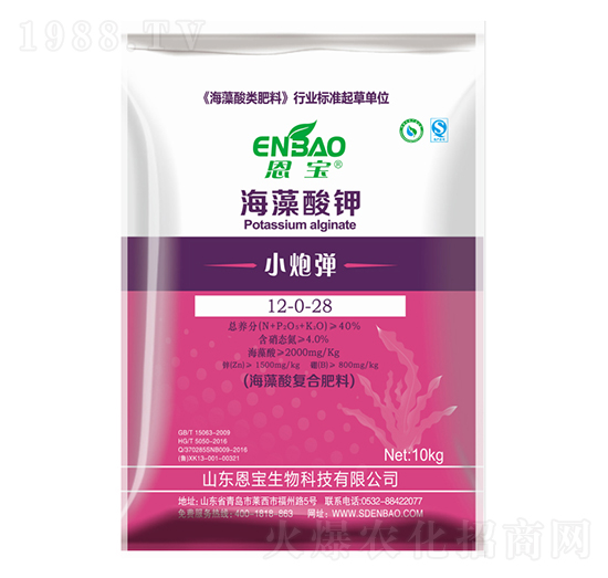 �������-С�ڏ�-����