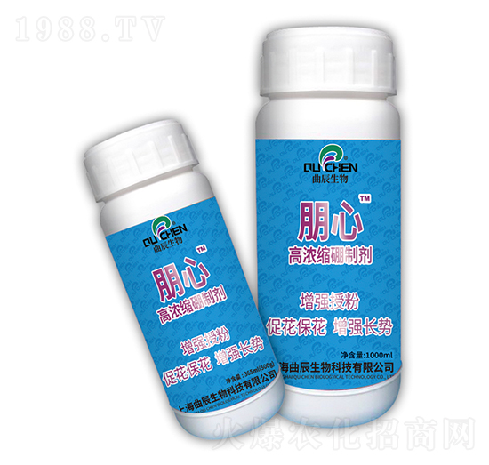 �ߝ�s���Ƅ�-����-��������