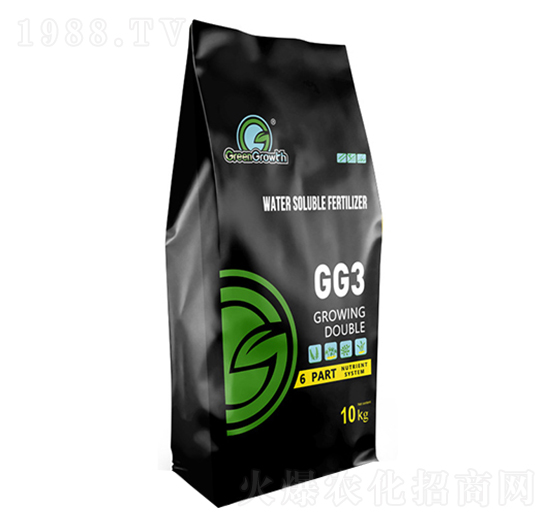 ��������-����-��֮��