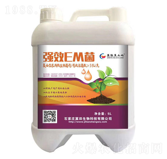 EM��-��������