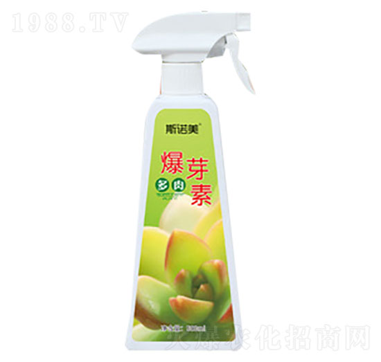 ���ⱬѿ��-�r(n��ng)������