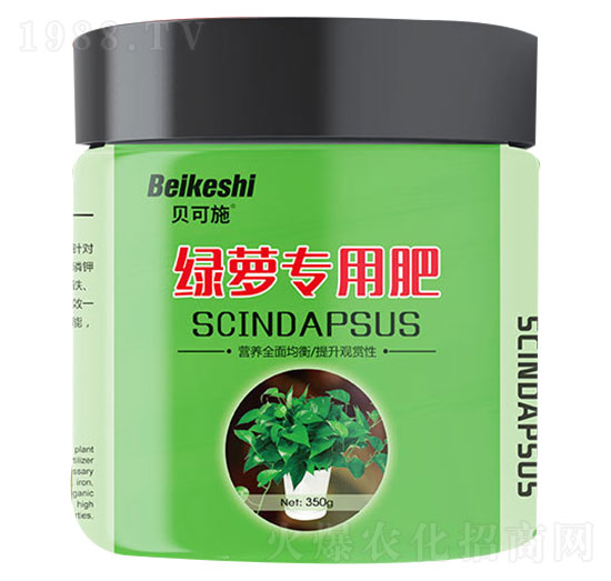 �G�}��(zhu��n)�÷�-�r(n��ng)������