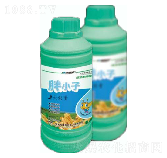 ��С��-�G�ķ�