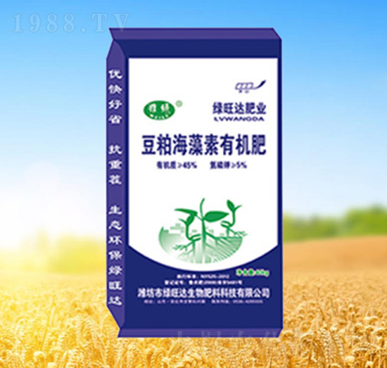 ���ɺ������ЙC��-�G���_