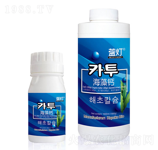 �{�������}-���Վ�����