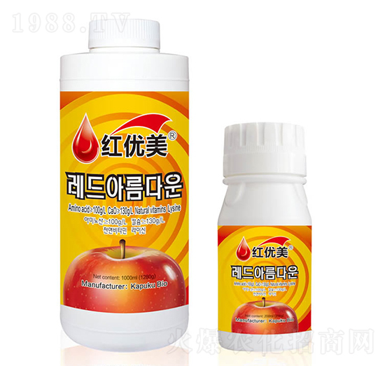 �t��(y��u)���~���-���Վ�����