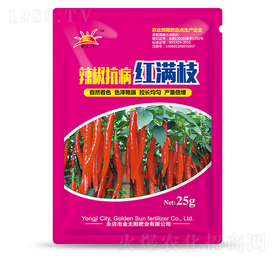 ���������t�M֦-�������