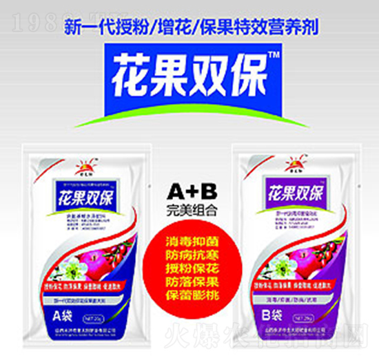 �����p��A+B�M��-�������