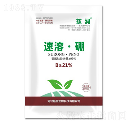 ���ܡ���-�Ʒ����