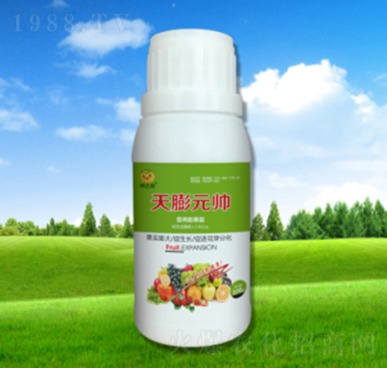 ����Ԫ��-���_���ʘI(y��)