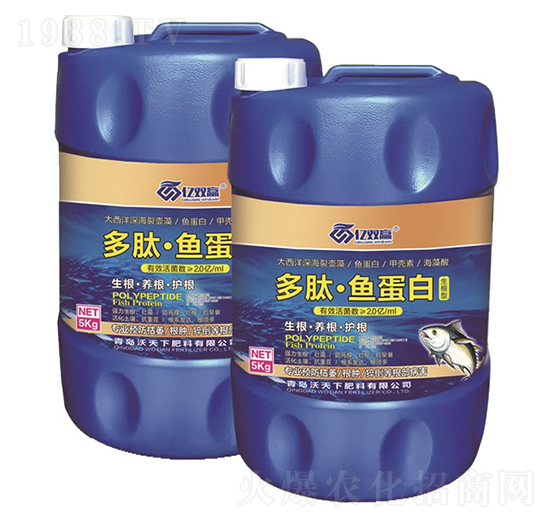 �����~����-�|�p�A-������