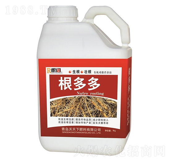 �����-������