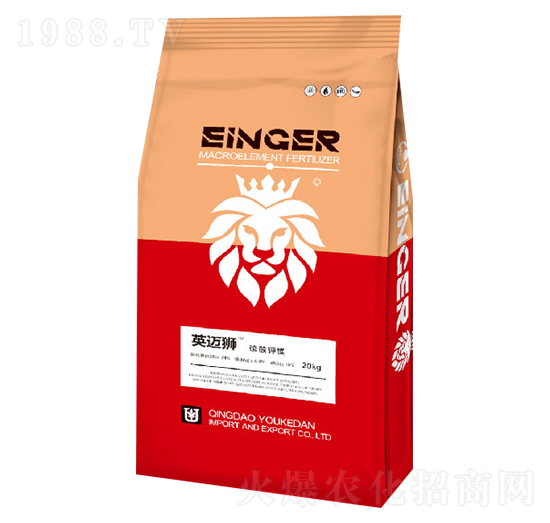 ������V-Ӣ�~�{-��(y��u)�ɵ�