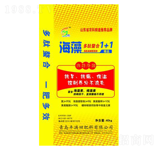 �����������1+1-�S�M��