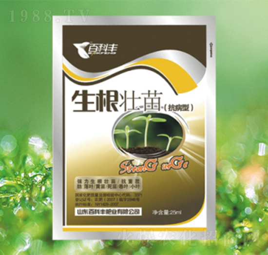 ��������-�ٿ��S