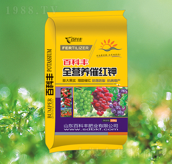 ȫ�I�B(y��ng)�߼t�-�ٿ��S