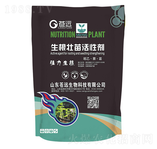 ����������Ԅ�-�n�h(yu��n)����