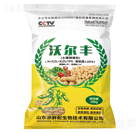 �����{�턩-�֠��S-���r��