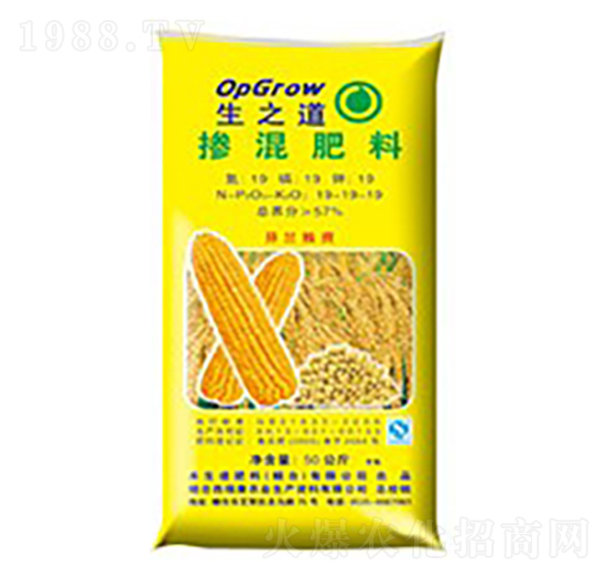 �������19-19-19-��֮��