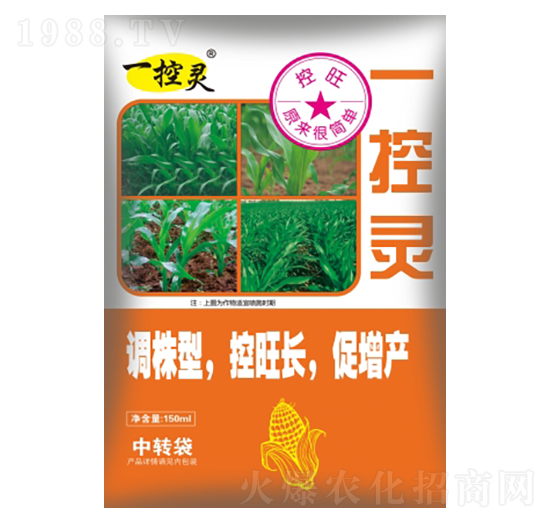 ���׌���-һ���`-ʢ������