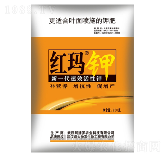 �t���-ʢ������