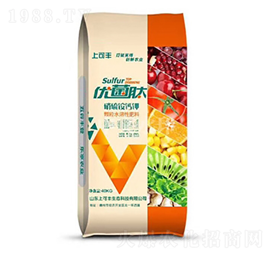 �Ͽ��S�����@��}-��(y��u)����-���r(n��ng)����